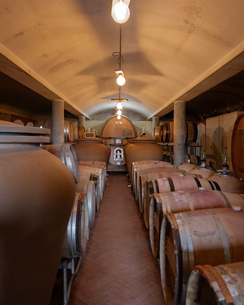 Wine Tasting, Le Cinciole