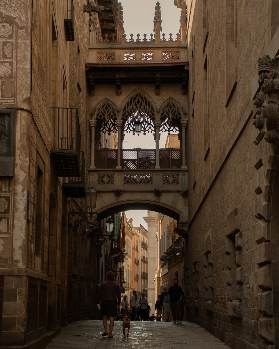 Left Image